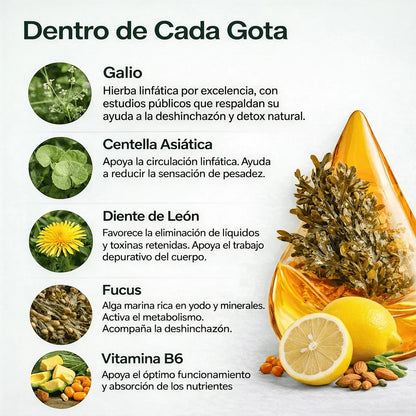 PurezaVital™ | Apoya la Circulación y el Drenaje Natural