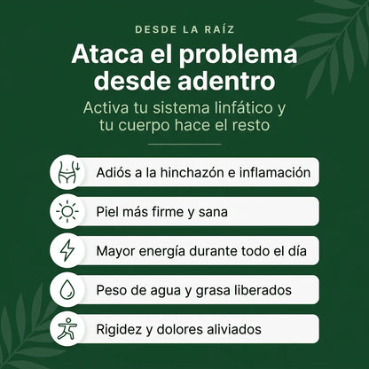 PurezaVital™ | Apoya la Circulación y el Drenaje Natural